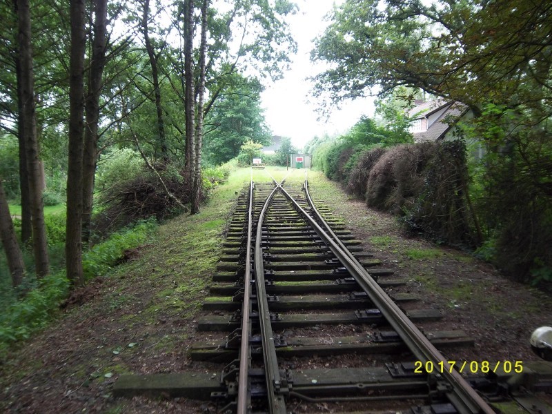 ZWNEGI15